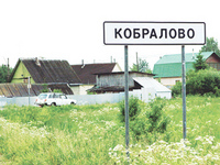 mo image