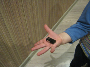 Вывести воспитательницу на чистую воду помог диктофон