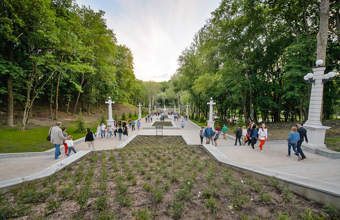 Парки воронежа фото. Воронежский Центральный парк. Ботанический сад Воронеж парк. Ботанический сад Воронеж Динамо. Ул Ленина Воронеж Центральный парк.