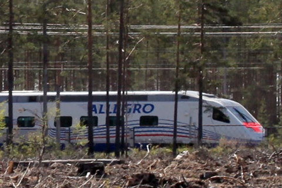 Аллегро поезд на Удельной. Аллегро поезд сбил человека. Аллегро по станции Удельная.