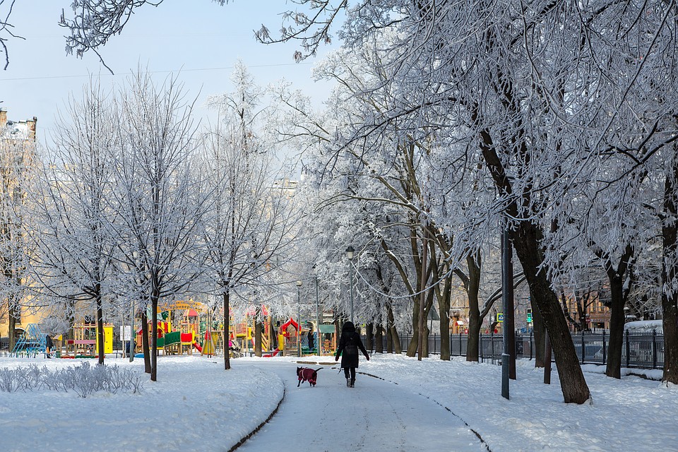 Какая температура в петербурге зимой