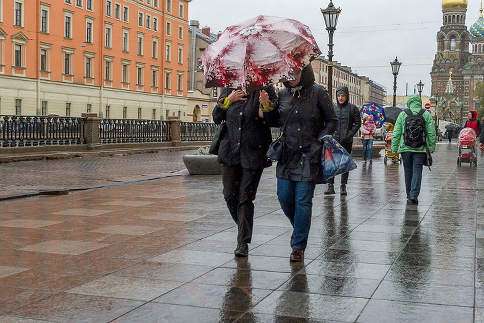Ветер в санкт петербурге сегодня. Ветер в Питере. Санкт-Петербург люди. Майский дождь в Питере. Петербуржец дождь.