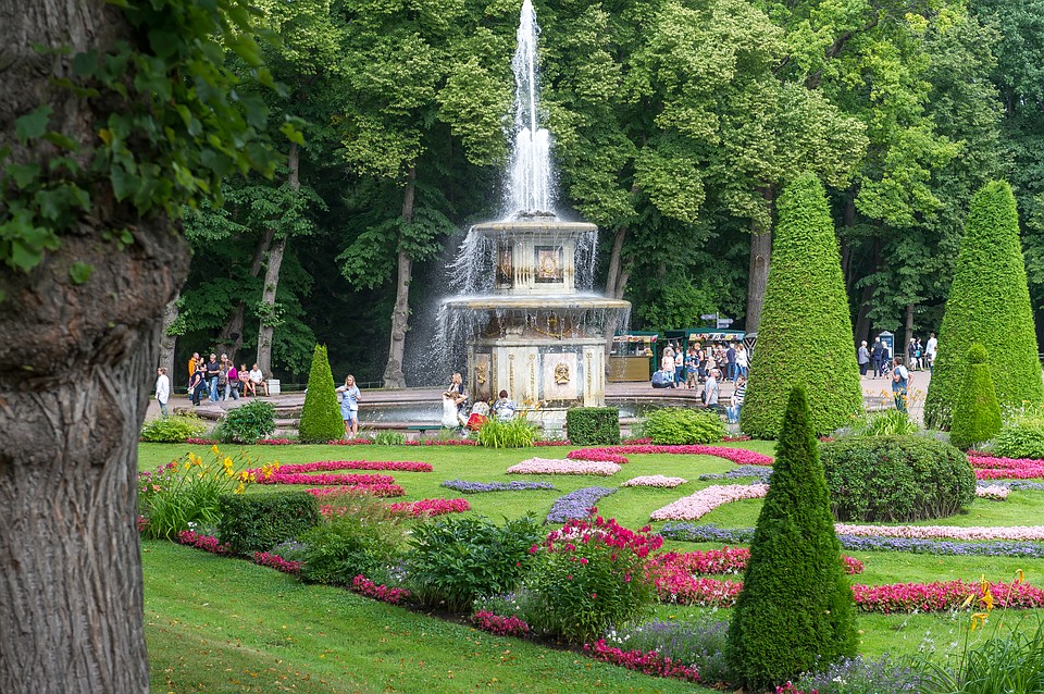 Парки петергофа. Петергоф, парк. Петергоф партеры Нижнего парк. Английский сад Петергоф. Петергоф розы Нижний парк.