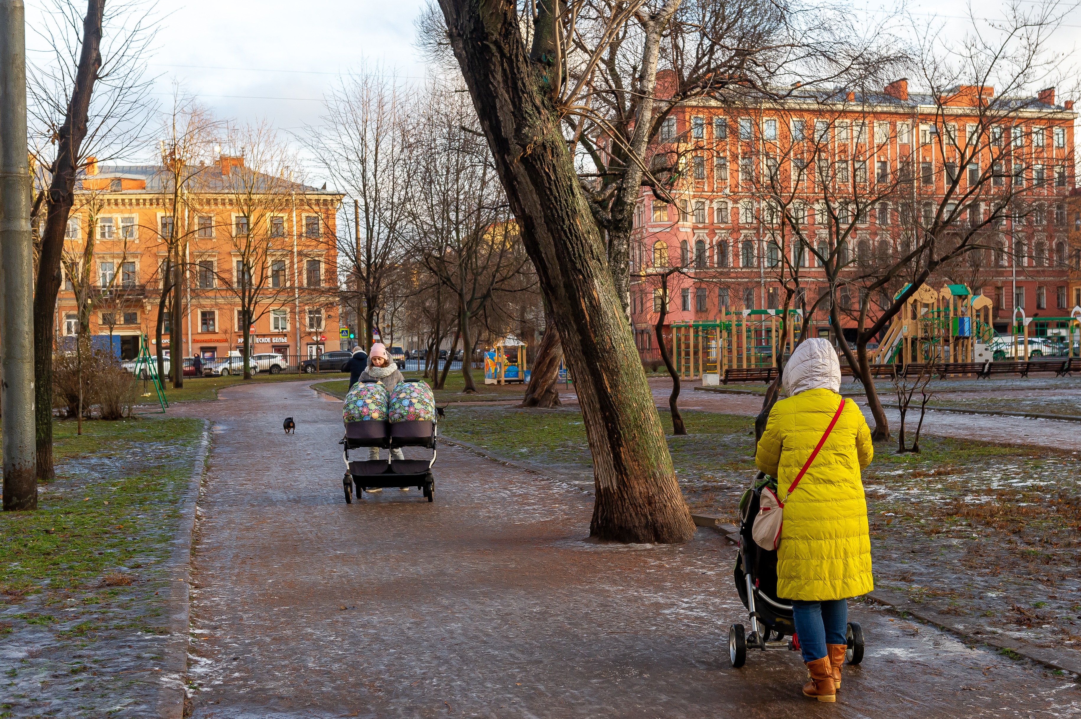 Погода в Санкт-Петербурге на неделю с 1 по 7 ноября 2021 года: Частая смена  погоды и ливни - KP.RU