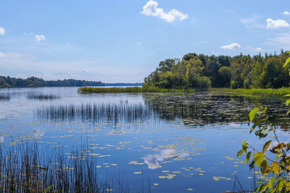 Озеро заклинское лужский район фото